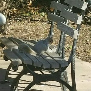 Meet your Posher, Iosif